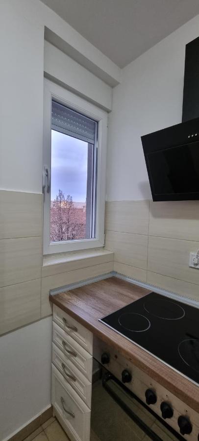 Grove II Apartment = Strict City Centre Novi Sad Exteriér fotografie